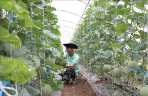 Nghị quyết 01/NQ-CP: Th&uacute;c đẩy kinh tế tuần ho&agrave;n trong n&ocirc;ng nghiệp