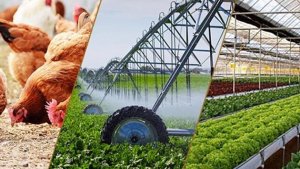 Sản xuất n&ocirc;ng nghiệp qu&yacute; 1/2024 tăng trưởng ổn định