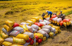 Xuất khẩu n&ocirc;ng, l&acirc;m, thủy sản đạt hơn 19 tỷ USD trong 4 th&aacute;ng đầu năm