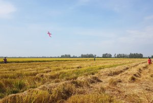 X&acirc;y dựng chiến lược quốc gia quản l&yacute; sức khỏe đất n&ocirc;ng nghiệp