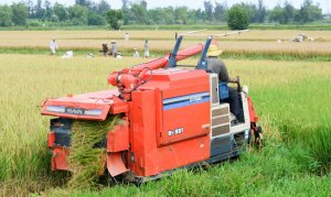 Nghi&ecirc;n cứu đ&aacute;nh gi&aacute; t&aacute;c động kinh tế của biến đổi kh&iacute; hậu đến ĐBSCL 