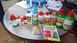 Nhập khẩu thuốc trừ s&acirc;u từ c&aacute;c thị trường 6 th&aacute;ng năm 2024