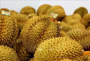 Danh tiếng "vua sầu ri&ecirc;ng" thế giới gọi t&ecirc;n Việt Nam