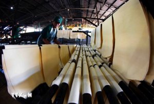 Dự b&aacute;o xuất khẩu cao su năm 2025 đạt tr&ecirc;n 11 tỷ USD