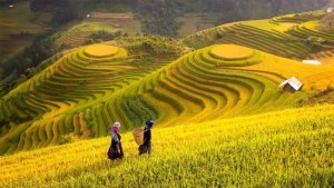 Hoạch định ch&iacute;nh s&aacute;ch để th&uacute;c đẩy hệ thống n&ocirc;ng nghiệp sinh th&aacute;i tuần ho&agrave;n
