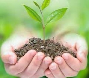 Gi&aacute; ph&acirc;n b&oacute;n ng&agrave;y 15/3: Trong nước ổn định, DAP thế giới giảm nhẹ