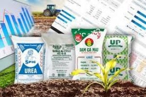 Nhập khẩu ph&acirc;n b&oacute;n 8 th&aacute;ng 2021 từ c&aacute;c thị trường tăng 40,7%