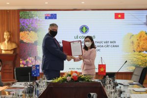 C&ocirc;ng bố biện ph&aacute;p xử l&yacute; kiểm dịch thực vật mới
