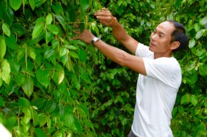 Nguy&ecirc;n tắc v&agrave;ng trong sản xuất n&ocirc;ng nghiệp 
