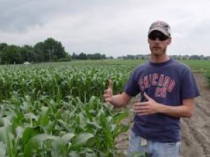 Lựa chọn thay thế thuốc diệt cỏ atrazine trong ruộng trồng ngô ngọt