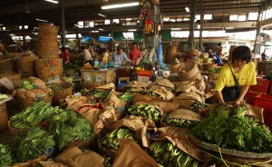 Tự do thương mại có thể làm giảm thiệt hại kinh tế trong nông nghiệp