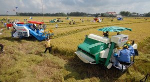 Nông nghiệp khó làm ăn lớn vì... thiếu đất