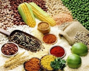   11 tháng 2016, xuất khẩu nông lâm thủy sản đạt 29,1 tỷ USD