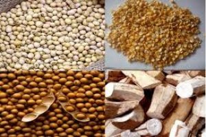 Kim ngạch xuất khẩu thức ăn chăn nu&ocirc;i v&agrave; nguy&ecirc;n liệu tăng