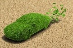 Nấm men biến đổi đường thực vật thành dầu mỏ