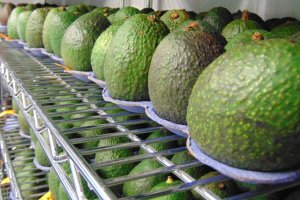 Lớp phủ thần kỳ - xịt l&ecirc;n hoa quả và nó sẽ có hạn sử dụng l&acirc;u g&acirc;́p 5 l&acirc;̀n