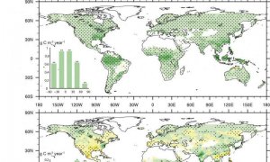 Tăng CO2 do biến đổi kh&iacute; hậu c&oacute; thể kh&ocirc;ng gi&uacute;p cải thiện sản xuất n&ocirc;ng nghiệp