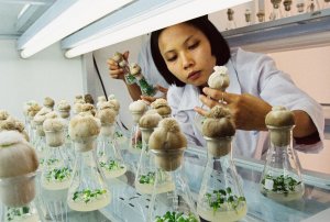 Phát triển công nghiệp sinh học