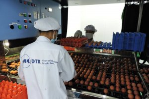 Định hướng xuất khẩu n&ocirc;ng l&acirc;m thủy sản 2018