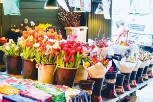 Australia - L&agrave;m gi&agrave;u từ n&ocirc;ng nghiệp