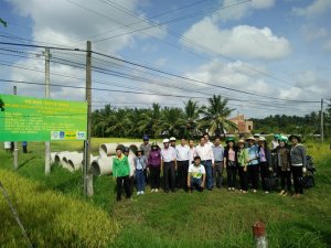 Giảm giống l&uacute;a gieo sạ tăng hiệu suất sử dụng ph&acirc;n b&oacute;n