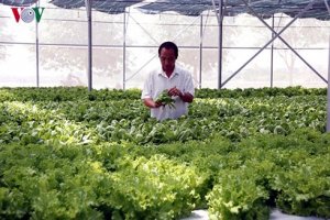 An to&agrave;n thực phẩm sẽ &ldquo;k&iacute;ch&rdquo; tăng trưởng kinh doanh n&ocirc;ng nghiệp
