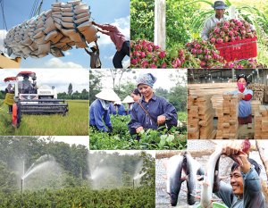 Bức tranh n&ocirc;ng nghiệp: Nhiều m&agrave;u s&aacute;ng