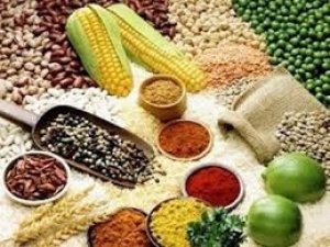 Kim ngạch nhập khẩu TĂCN & NL Việt Nam 7 th&aacute;ng đầu năm 2018 tăng hơn 11%