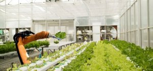 Mỹ c&oacute; n&ocirc;ng trại đầu ti&ecirc;n do robot quản l&yacute; ho&agrave;n to&agrave;n