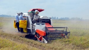 Th&uacute;c đẩy nghi&ecirc;n cứu, ứng dụng khoa học c&ocirc;ng nghệ phục vụ t&aacute;i cơ cấu ng&agrave;nh n&ocirc;ng nghiệp