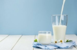 Xuất khẩu sữa tăng mạnh