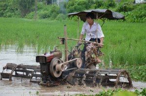 Hơn 60% HTX hoạt động c&oacute; hiệu quả