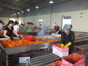 Triển vọng n&agrave;o cho mục ti&ecirc;u xuất khẩu 43 tỉ USD?