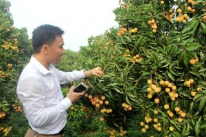 Mười th&agrave;nh tựu nổi bật của ng&agrave;nh n&ocirc;ng nghiệp năm 2018