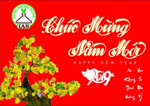 Ch&uacute;c mừng năm mới 