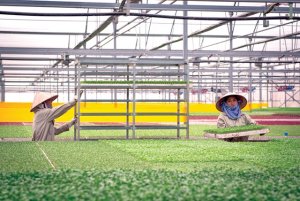Số h&oacute;a n&ocirc;ng nghiệp: Lộ tr&igrave;nh kh&ocirc;ng thể thay đổi
