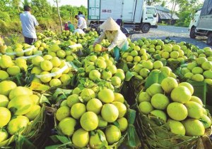 B&aacute;m s&aacute;t thực tiễn, tạo bứt ph&aacute; mới