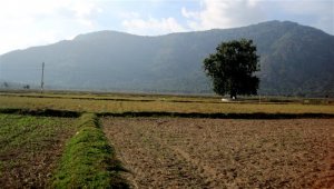Việt Nam đối diện thách thức về an ninh nguồn nước
