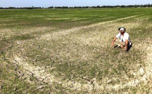 Ứng ph&oacute; nguy cơ hạn h&aacute;n, thiếu nước, x&acirc;m nhập mặn ở ĐBSCL
