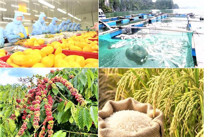 H&agrave;nh động quyết liệt để đưa xuất khẩu n&ocirc;ng, l&acirc;m, thủy sản vượt mốc 74 tỷ USD