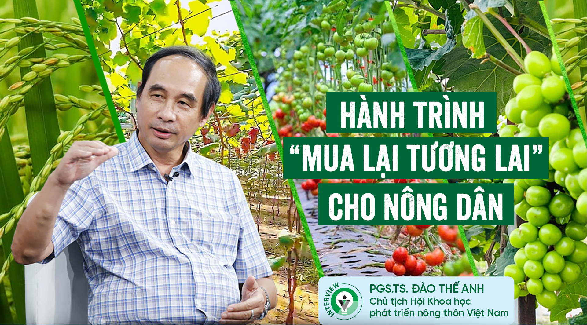 H&agrave;nh tr&igrave;nh "mua lại tương lai" cho n&ocirc;ng d&acirc;n