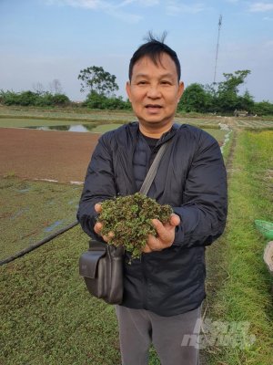  B&egrave;o hoa d&acirc;u, thế giới đ&atilde; thức tỉnh, sao Việt Nam vẫn bội bạc? Ph&aacute;t hiện g&acirc;y chấn động ở Bắc Băng dương 