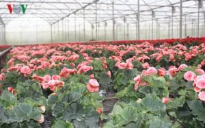 Doanh nghiệp &ndash; &ldquo;Hạt nh&acirc;n&rdquo; trong ph&aacute;t triển n&ocirc;ng nghiệp