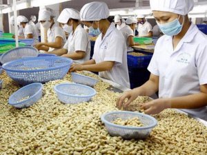 Nhập si&ecirc;u gần 600 triệu USD trong năm 2021, ng&agrave;nh điều "đứt chuỗi" xuất si&ecirc;u sau 30 năm