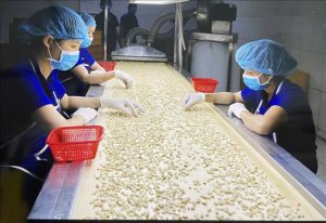 Xuất khẩu điều lập kỷ lục 4,37 tỷ USD, Hoa Kỳ l&agrave; thị trường lớn nhất