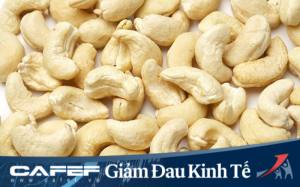 Xuất khẩu hạt điều kh&oacute; đạt mục ti&ecirc;u 4 tỷ USD do dịch Covid-19 