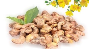 Xuất khẩu hạt điều giảm: Nguy&ecirc;n nh&acirc;n v&agrave; giải ph&aacute;p