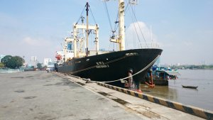 Thị trường ph&acirc;n b&oacute;n trong nước đầu năm 2019 