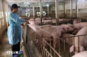 Ph&ecirc; duyệt Đề &aacute;n ph&aacute;t triển c&ocirc;ng nghiệp chuồng trại v&agrave; xử l&yacute; chất thải chăn nu&ocirc;i 