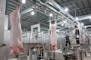 Ph&ecirc; duyệt Đề &aacute;n Ph&aacute;t triển c&ocirc;ng nghiệp giết mổ, chế biến v&agrave; thị trường sản phẩm chăn nu&ocirc;i đến năm 2030 